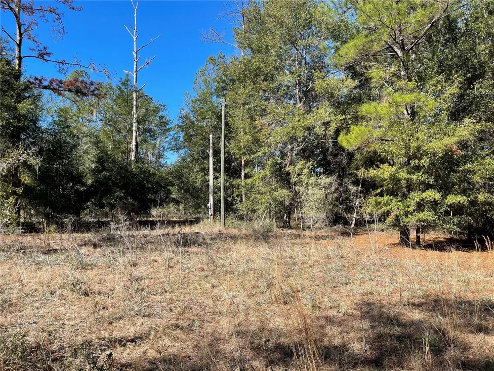 24510 NE STATE RD 26 Melrose, FL 32666