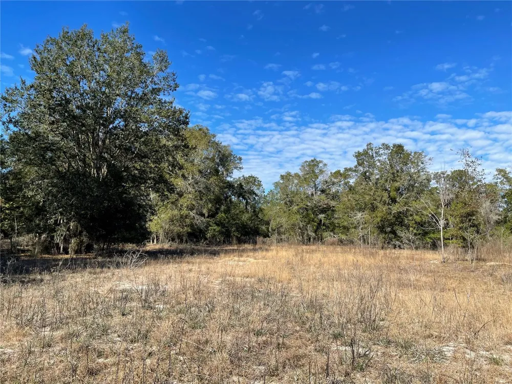 24510 NE STATE RD 26 Melrose, FL 32666