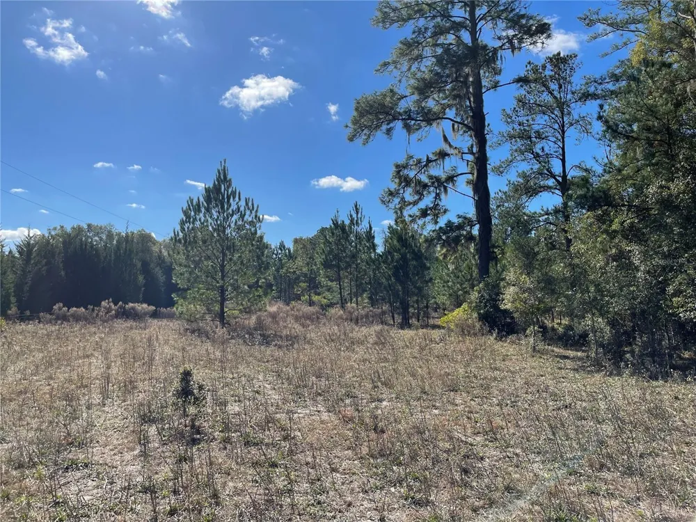 24510 NE STATE RD 26 Melrose, FL 32666