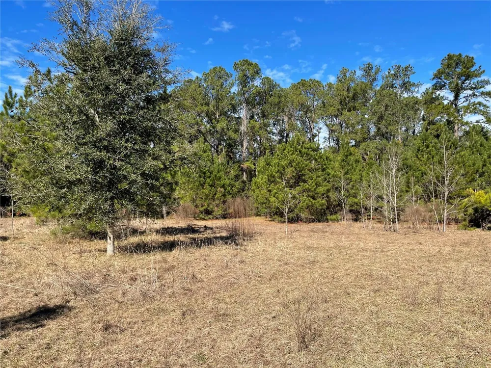 24510 NE STATE RD 26 Melrose, FL 32666