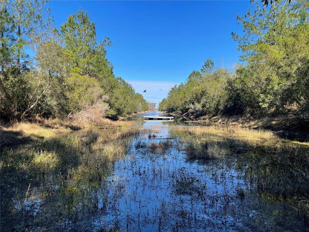 24510 NE STATE RD 26 Melrose, FL 32666
