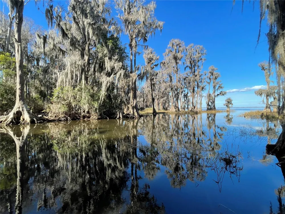 24510 NE STATE RD 26 Melrose, FL 32666