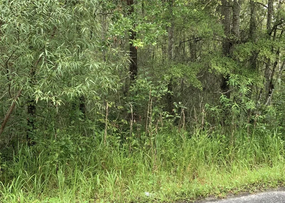 20616 NW 75TH STREET Alachua, FL 32615