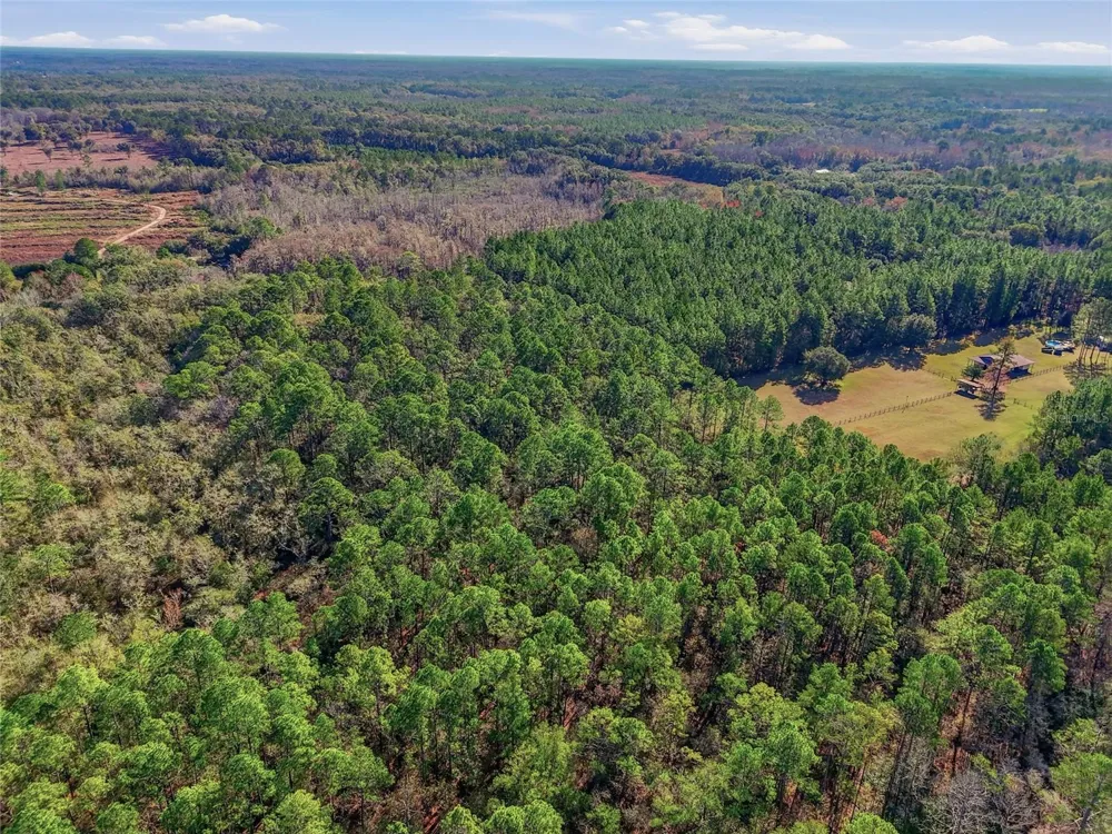 20616 NW 75TH STREET Alachua, FL 32615