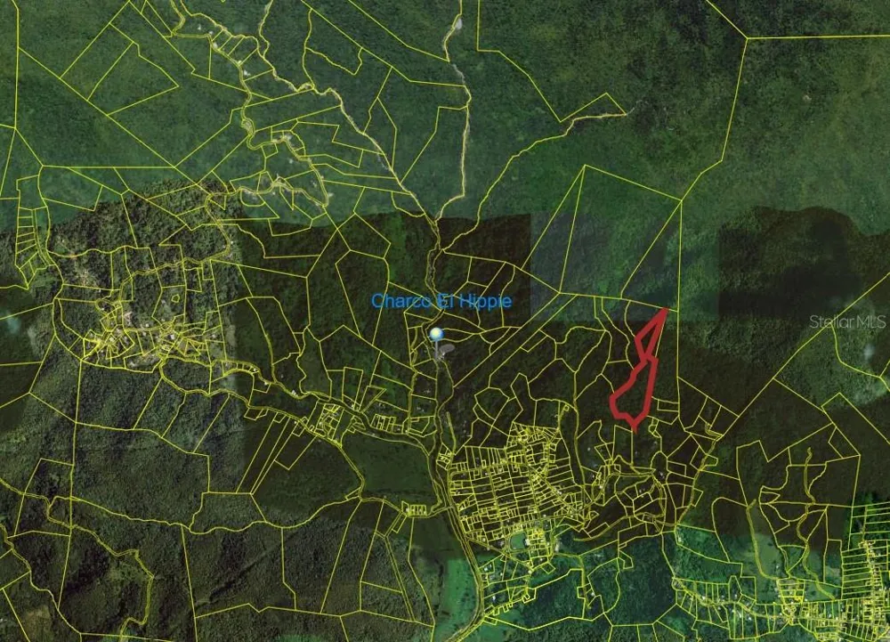 31 INT 950 KM.HM 9.7 BO RIO BLANCO Naguabo, PR 00718