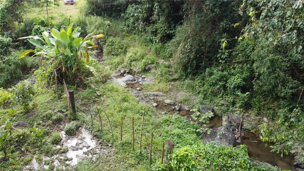 31 INT 950 KM.HM 9.7 BO RIO BLANCO Naguabo, PR 00718