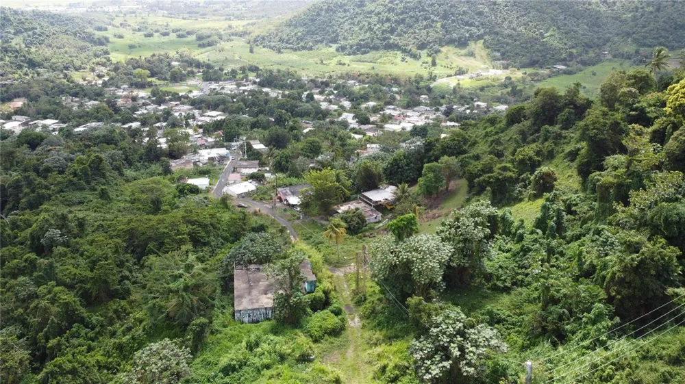 31 INT 950 KM.HM 9.7 BO RIO BLANCO Naguabo, PR 00718