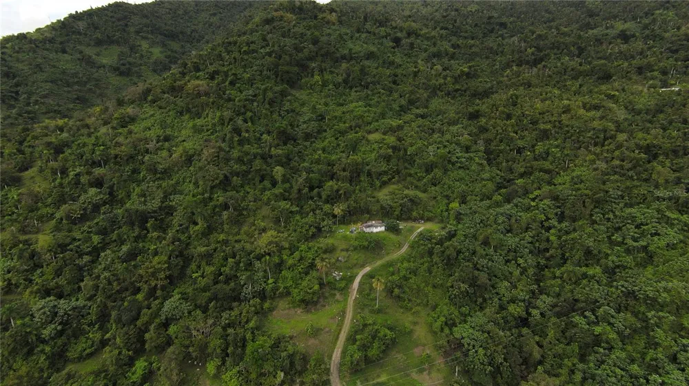 31 INT 950 KM.HM 9.7 BO RIO BLANCO Naguabo, PR 00718
