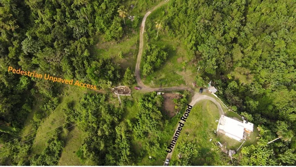 31 INT 950 KM.HM 9.7 BO RIO BLANCO Naguabo, PR 00718