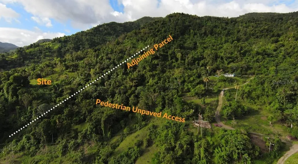 31 INT 950 KM.HM 9.7 BO RIO BLANCO Naguabo, PR 00718