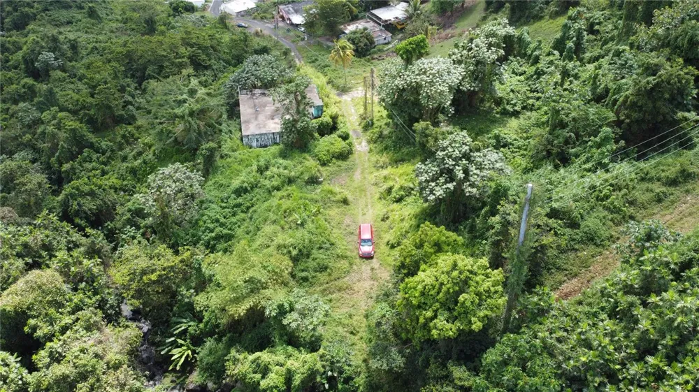 31 INT 950 KM.HM 9.7 BO RIO BLANCO Naguabo, PR 00718