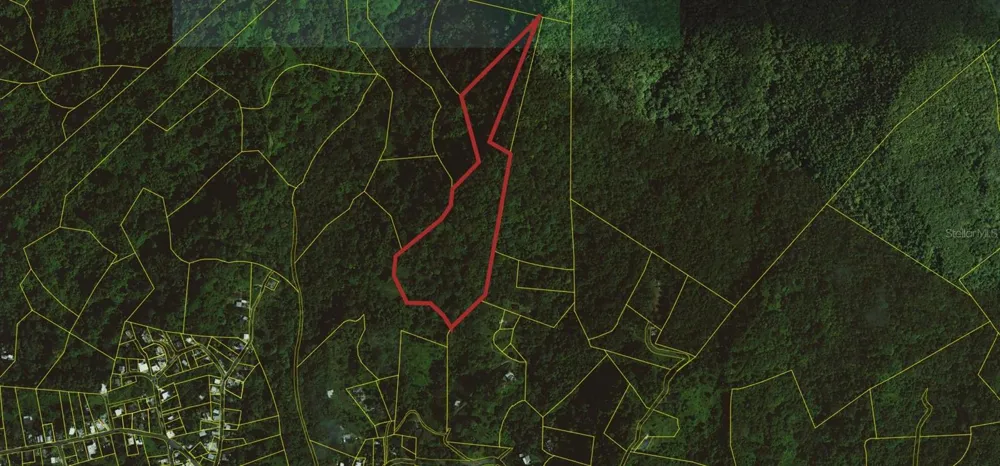 31 INT 950 KM.HM 9.7 BO RIO BLANCO Naguabo, PR 00718