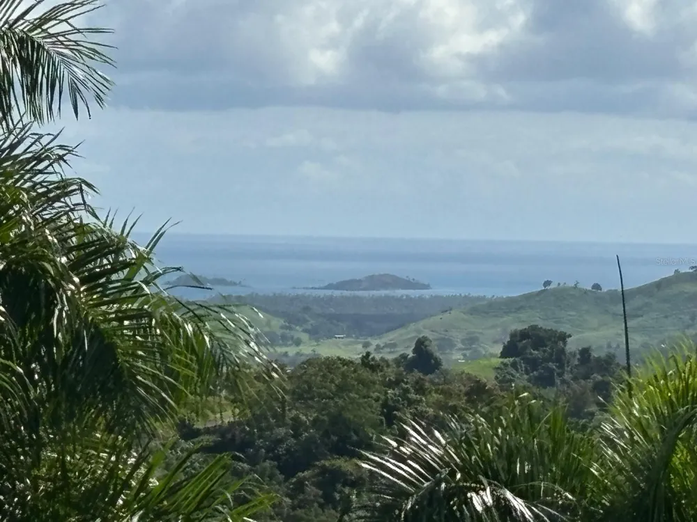 31 INT 950 KM.HM 9.7 BO RIO BLANCO Naguabo, PR 00718