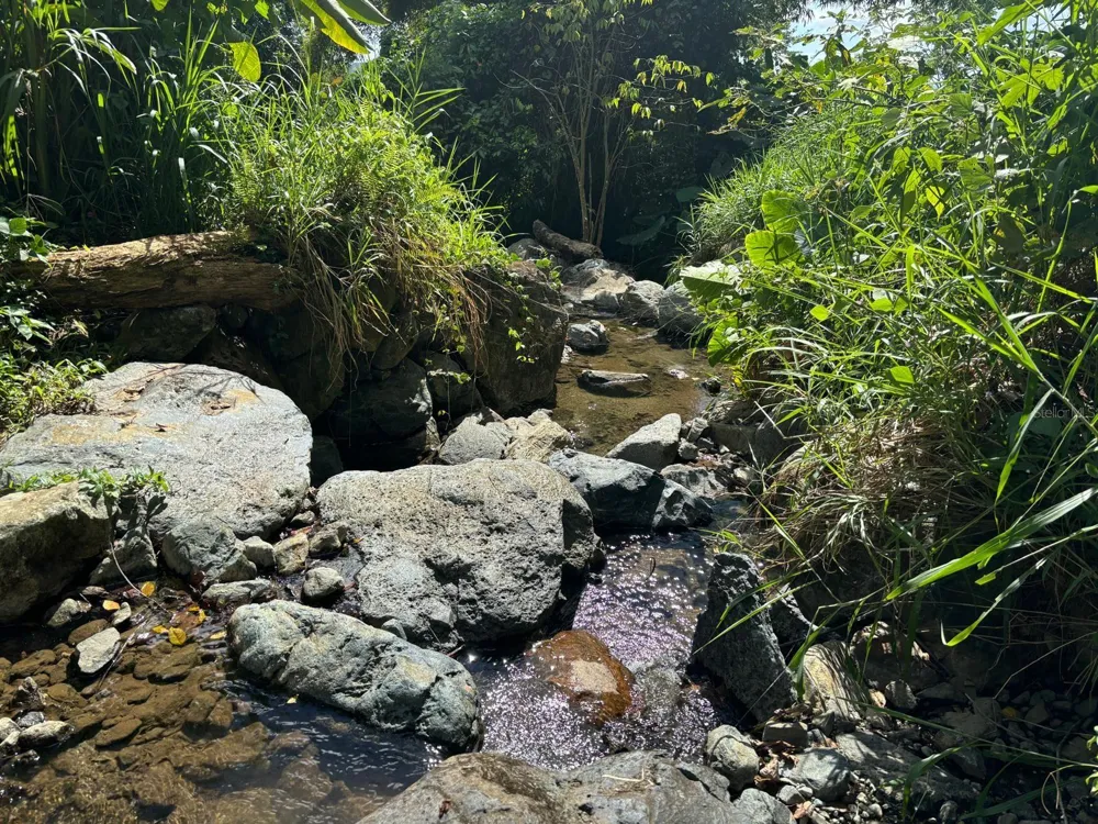 31 INT 950 KM.HM 9.7 BO RIO BLANCO Naguabo, PR 00718