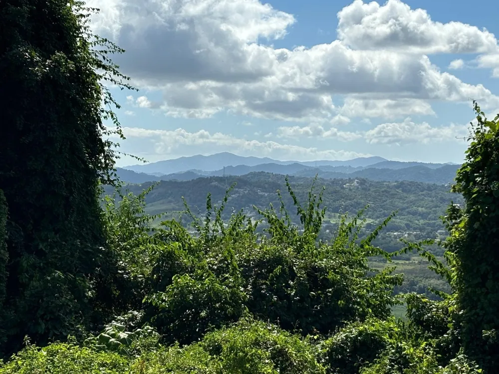 31 INT 950 KM.HM 9.7 BO RIO BLANCO Naguabo, PR 00718