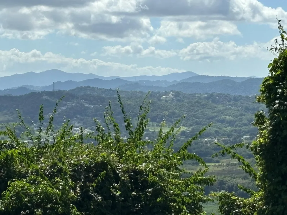 31 INT 950 KM.HM 9.7 BO RIO BLANCO Naguabo, PR 00718