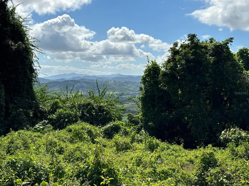31 INT 950 KM.HM 9.7 BO RIO BLANCO Naguabo, PR 00718