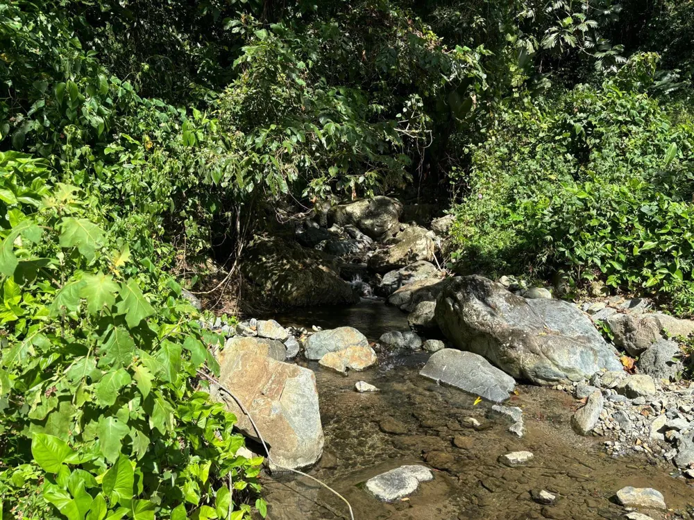 31 INT 950 KM.HM 9.7 BO RIO BLANCO Naguabo, PR 00718