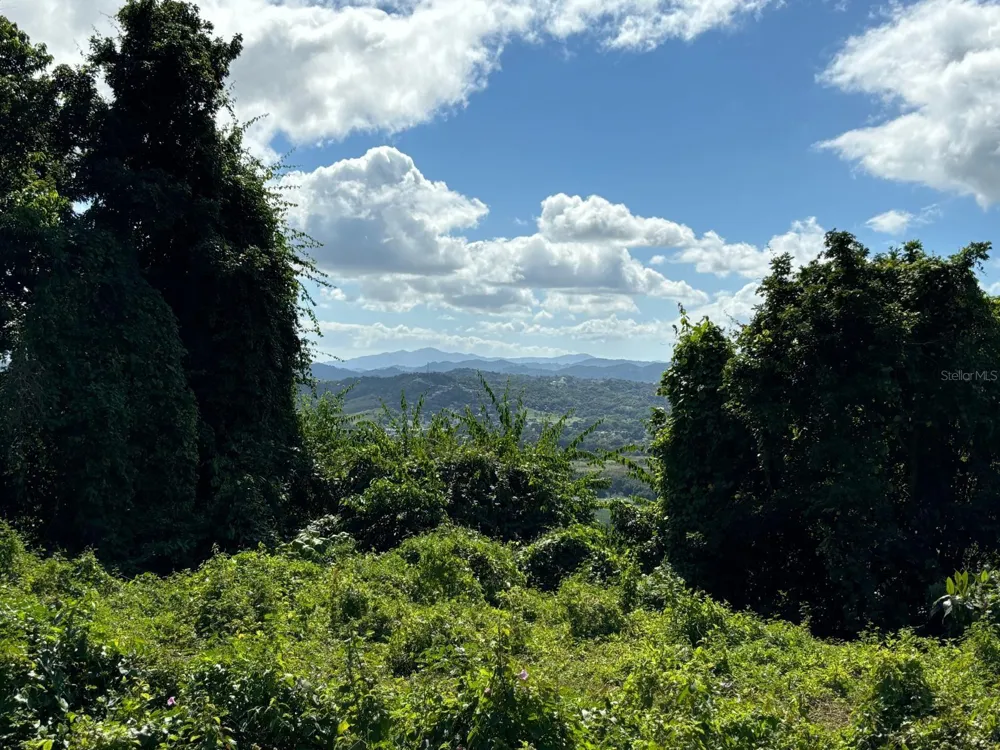 31 INT 950 KM.HM 9.7 BO RIO BLANCO Naguabo, PR 00718
