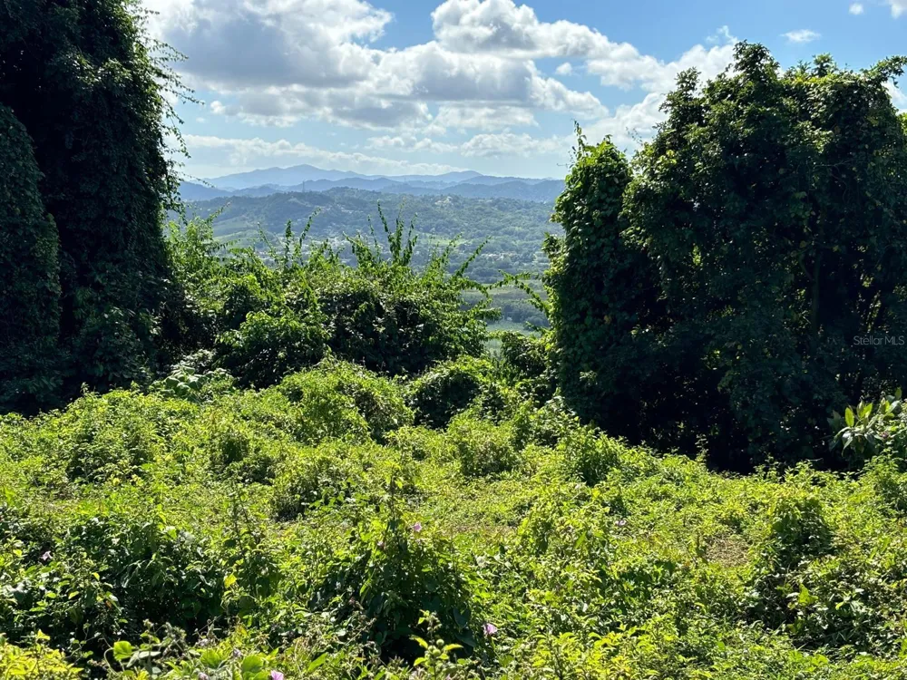 31 INT 950 KM.HM 9.7 BO RIO BLANCO Naguabo, PR 00718