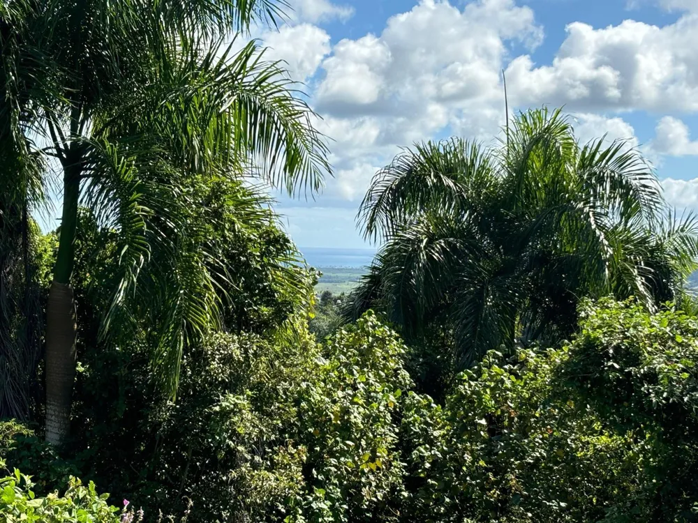 31 INT 950 KM.HM 9.7 BO RIO BLANCO Naguabo, PR 00718