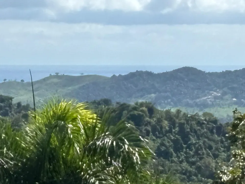 31 INT 950 KM.HM 9.7 BO RIO BLANCO Naguabo, PR 00718