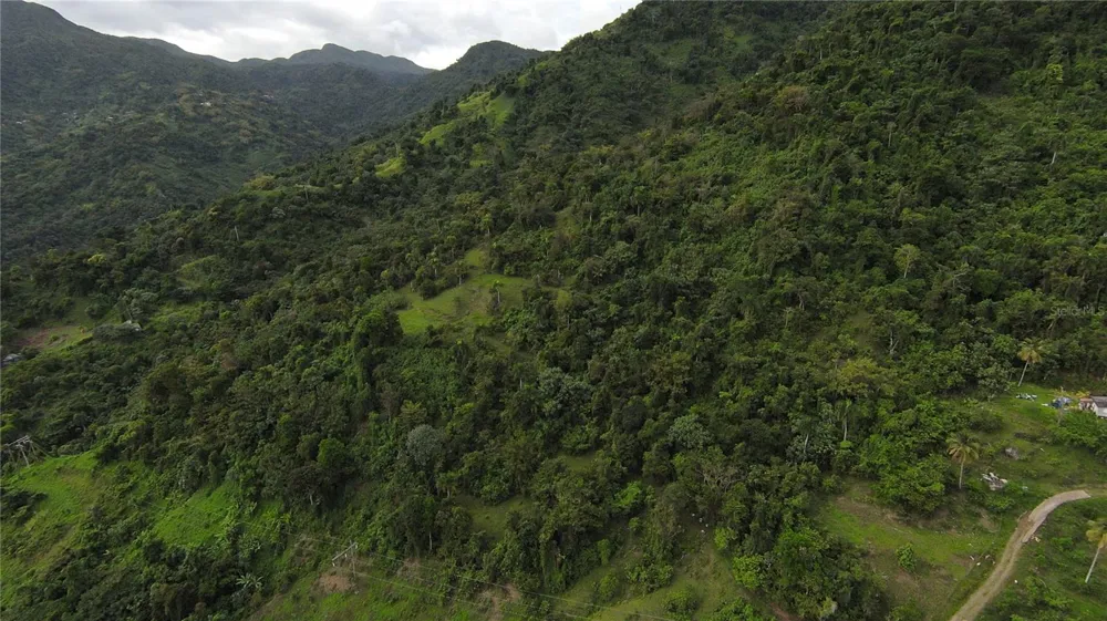 31 INT 950 KM.HM 9.7 BO RIO BLANCO Naguabo, PR 00718