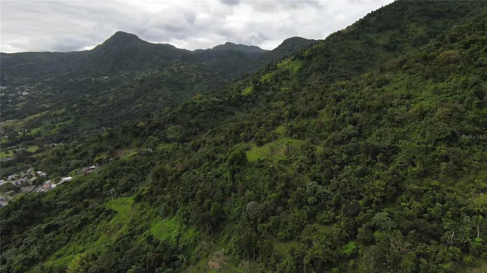 31 INT 950 KM.HM 9.7 BO RIO BLANCO Naguabo, PR 00718