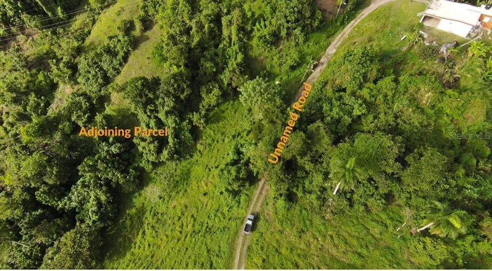 31 INT 950 KM.HM 9.7 BO RIO BLANCO Naguabo, PR 00718
