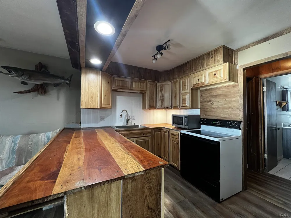 11698 Elm Park Drive Rollin Township, MI 49253