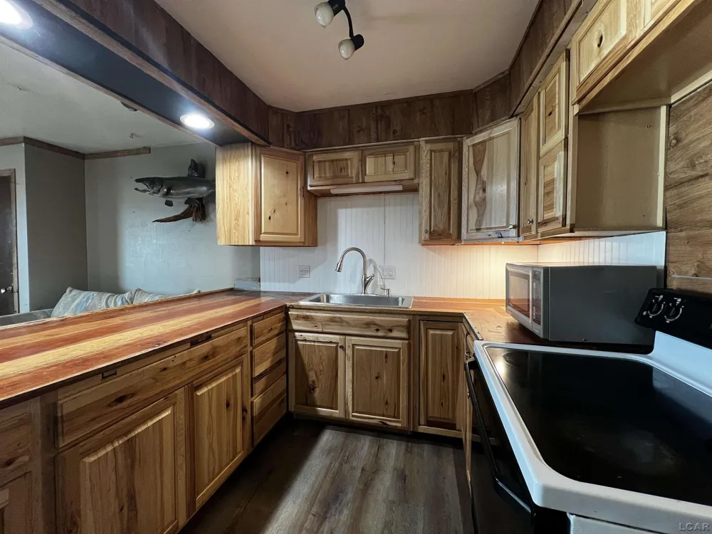 11698 Elm Park Drive Rollin Township, MI 49253