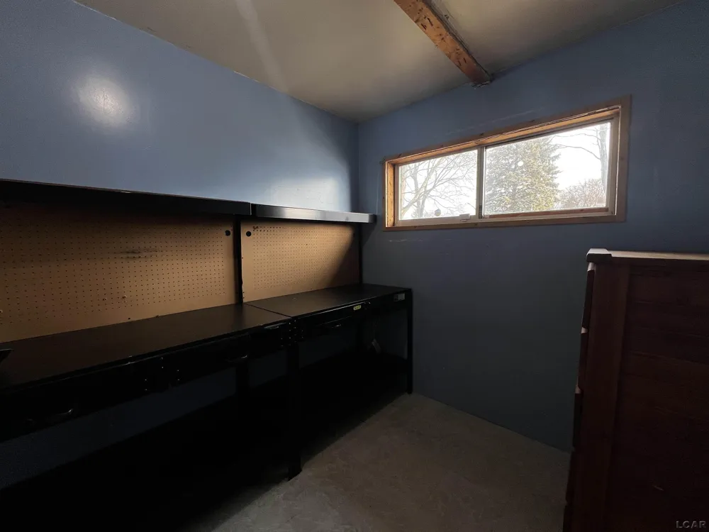 11698 Elm Park Drive Rollin Township, MI 49253