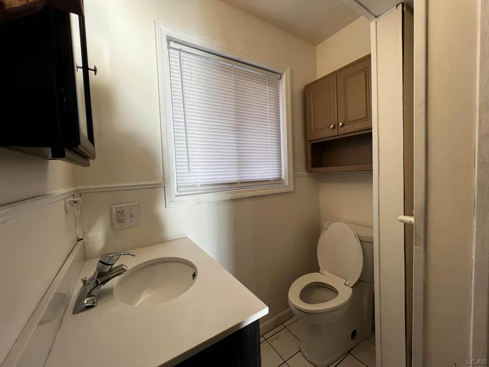 11698 Elm Park Drive Rollin Township, MI 49253