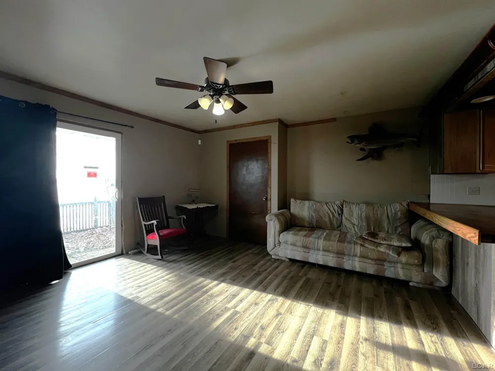 11698 Elm Park Drive Rollin Township, MI 49253