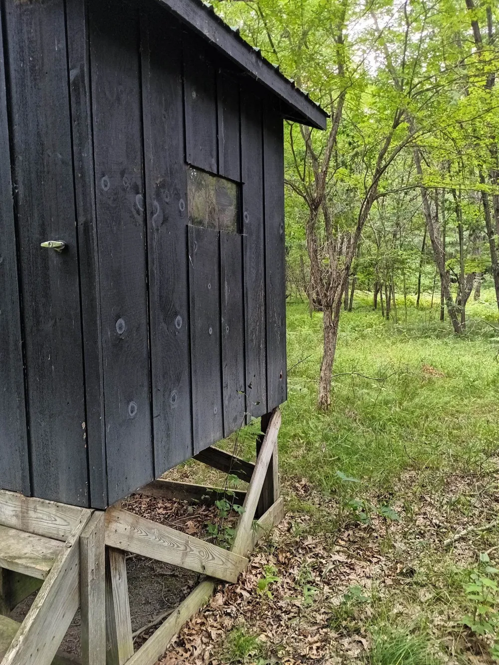 7907 W Weidman Road Sherman Township, MI 48893