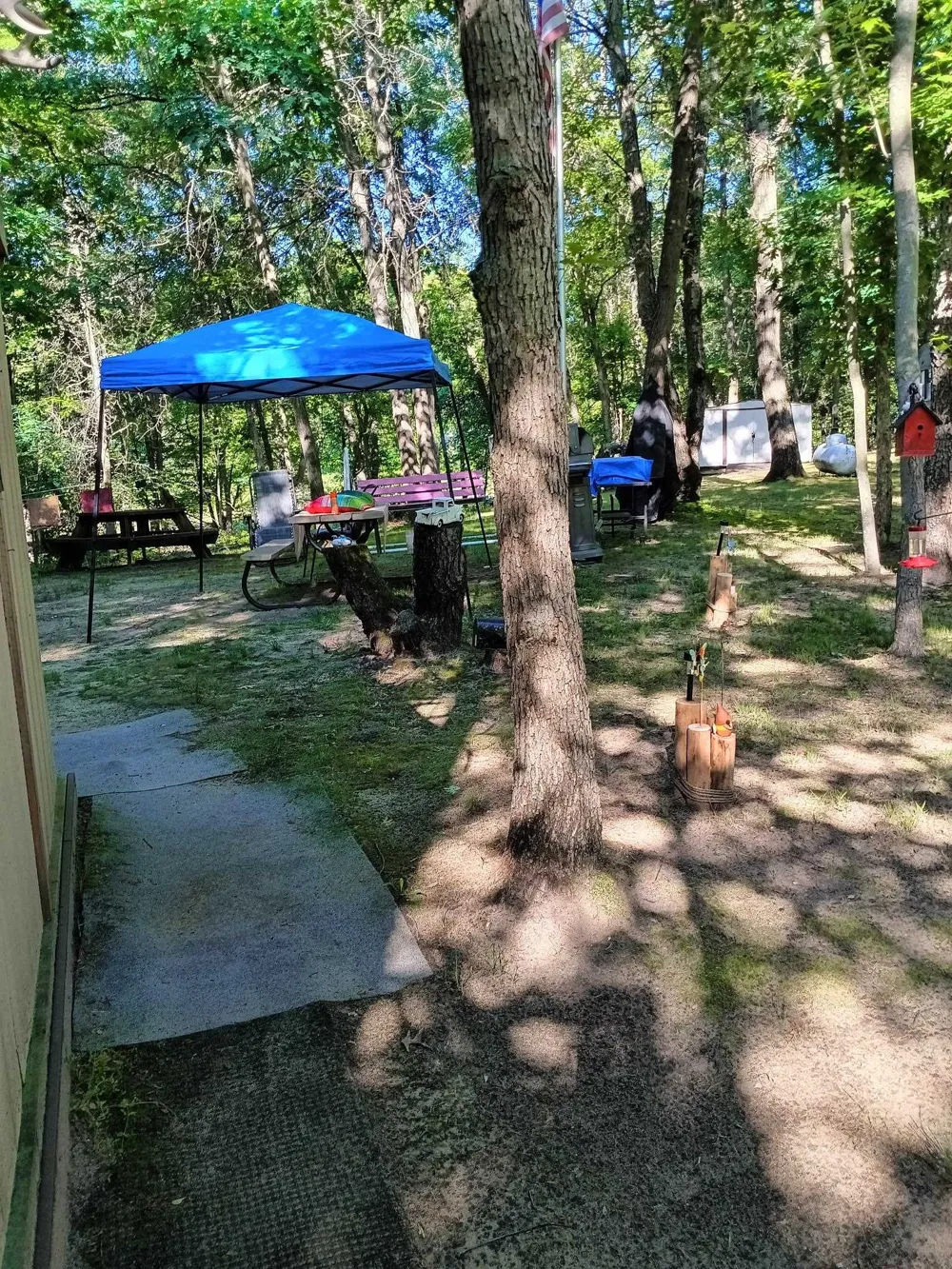 7907 W Weidman Road Sherman Township, MI 48893