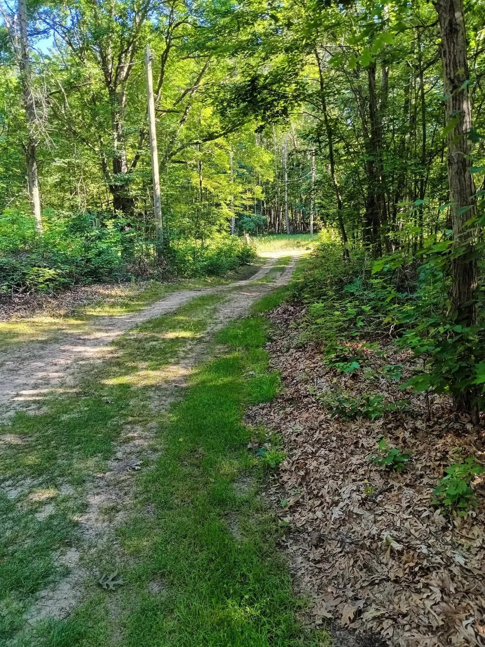 7907 W Weidman Road Sherman Township, MI 48893