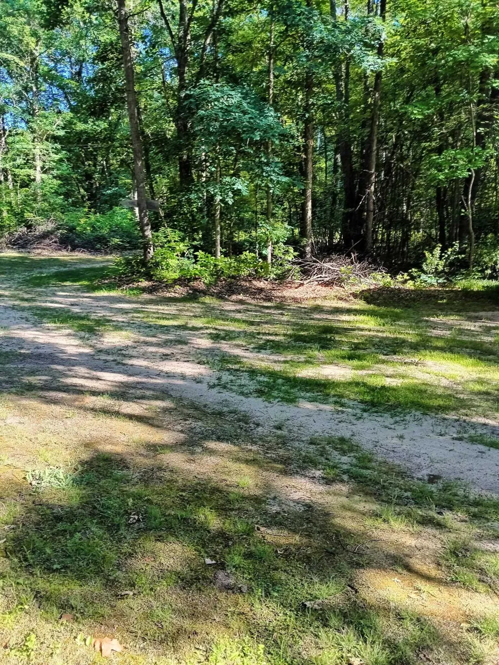 7907 W Weidman Road Sherman Township, MI 48893