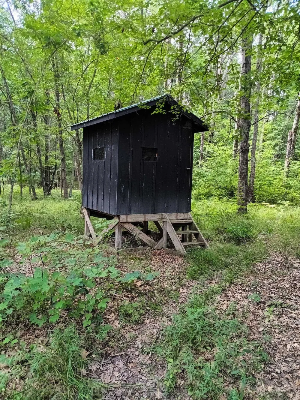 7907 W Weidman Road Sherman Township, MI 48893