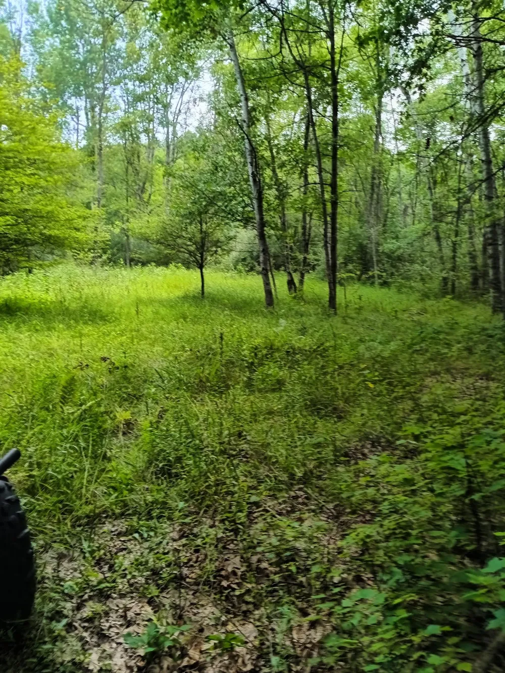 7907 W Weidman Road Sherman Township, MI 48893