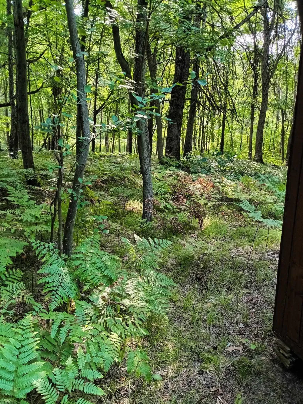 7907 W Weidman Road Sherman Township, MI 48893