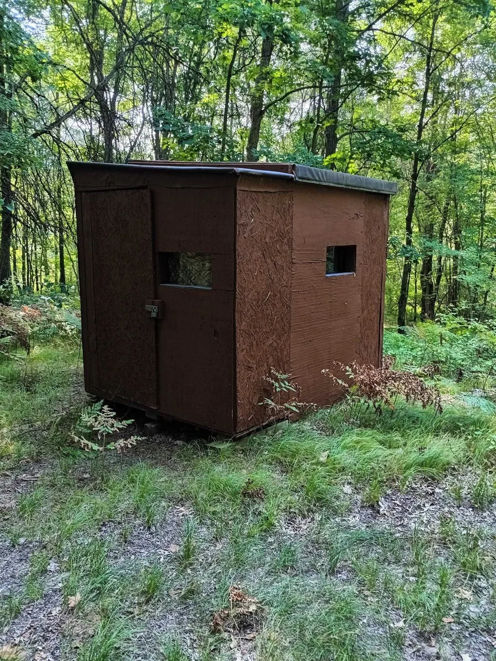 7907 W Weidman Road Sherman Township, MI 48893