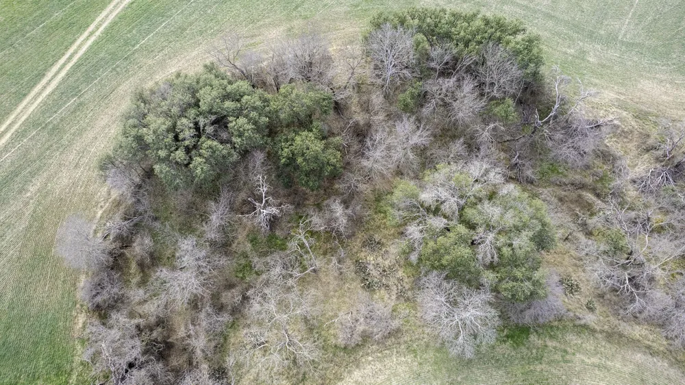 CR 440 De Leon, TX 76444