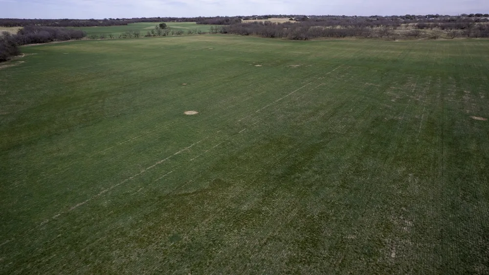 CR 440 De Leon, TX 76444