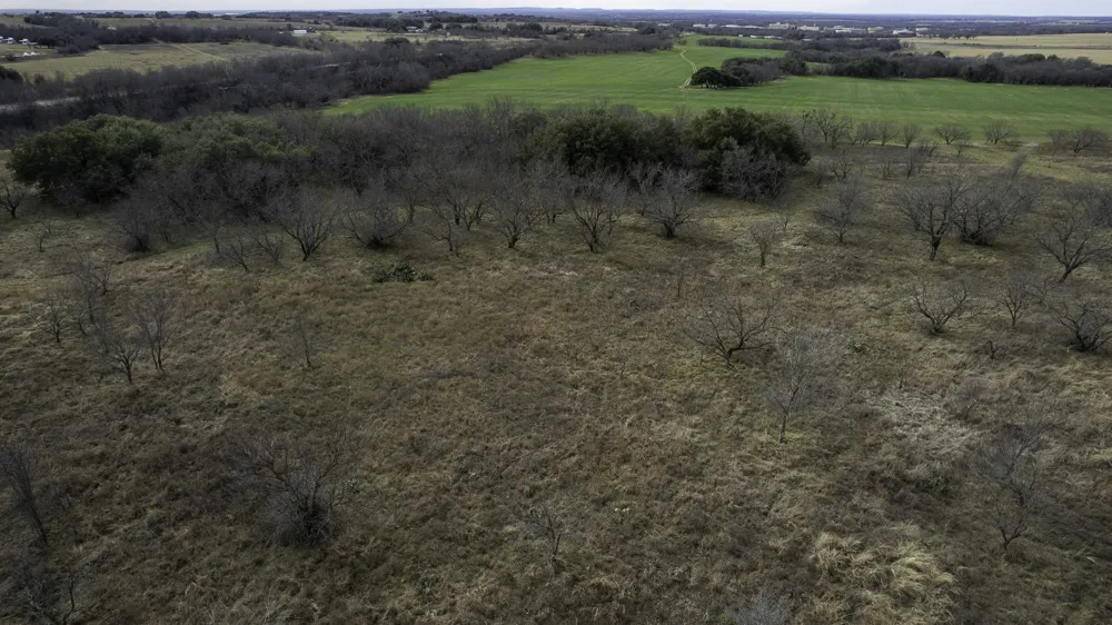 CR 440 De Leon, TX 76444