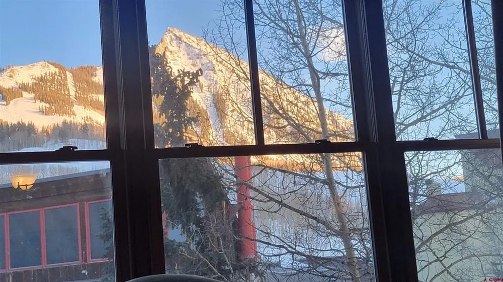 620 Gothic Road #317 Crested Butte, CO 81225
