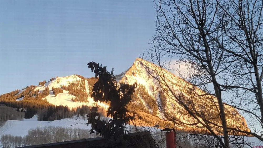 620 Gothic Road #317 Crested Butte, CO 81225