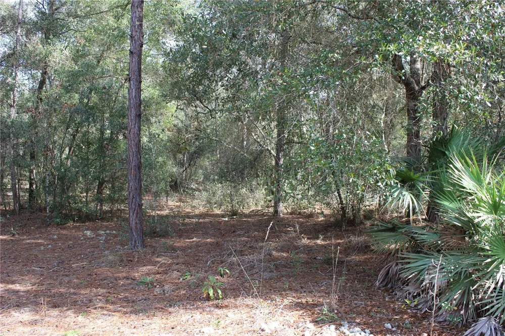 34273 BELT DRIVE Dade City, FL 33523