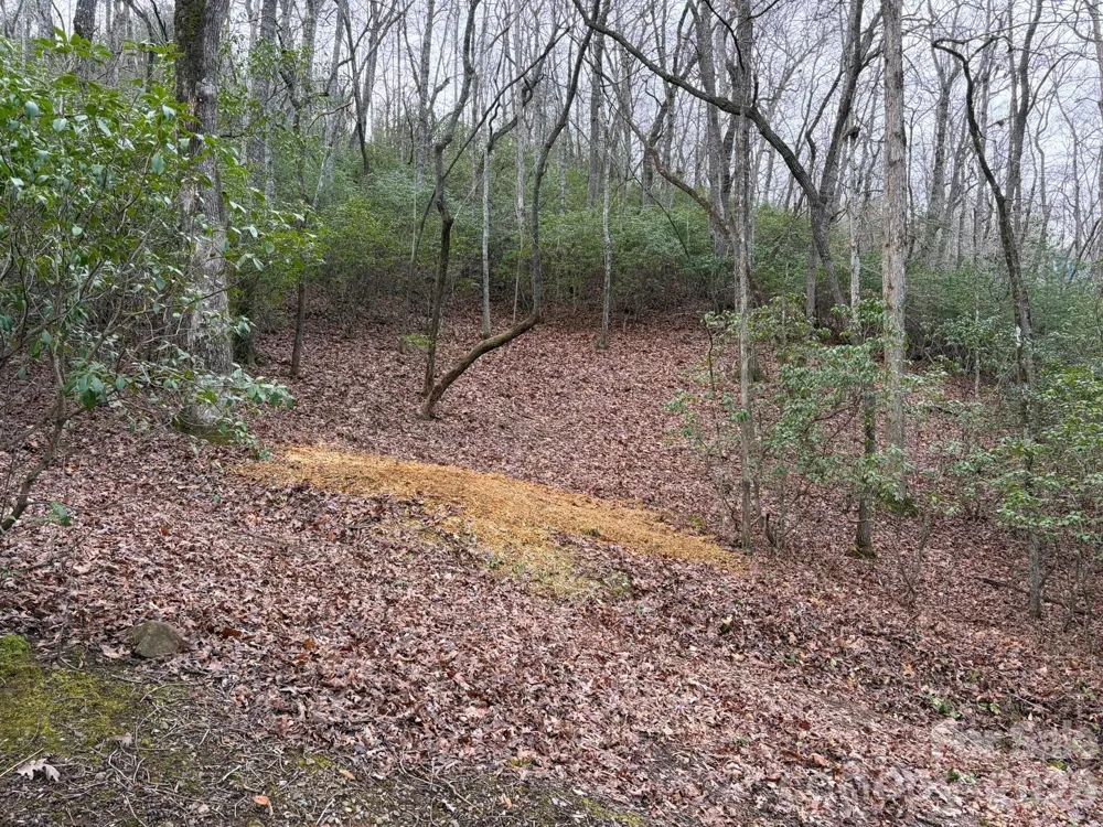 0 Crescent Ridge Franklin, NC 28734
