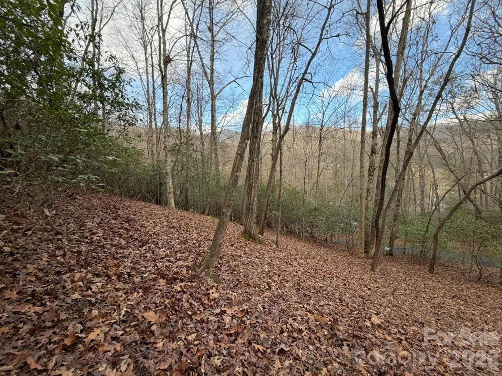 0 Crescent Ridge Franklin, NC 28734